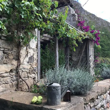 Retreat In Wild Paradise Holiday home